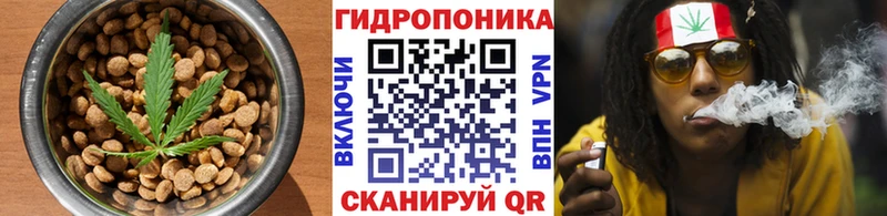 Купить где  Новохопёрск  Canna-Cookies конопля 