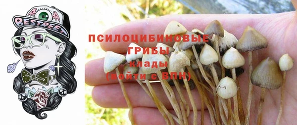 стаф Кулебаки
