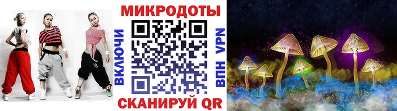 Галлюциногенные грибы Psilocybe  Купить закладки  Новохопёрск 